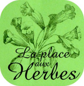 la place aux herbes la place aux herbes