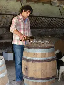 Sève de Forez