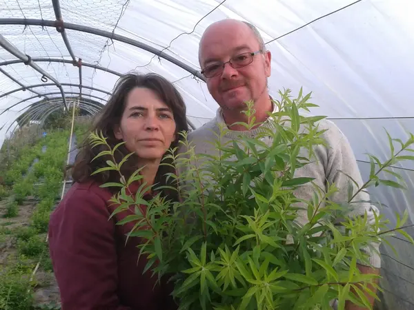 La Place aux Herbes